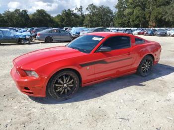  Salvage Ford Mustang