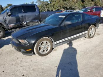  Salvage Ford Mustang