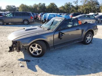  Salvage Ford Mustang