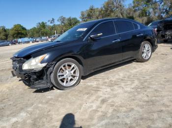  Salvage Nissan Maxima