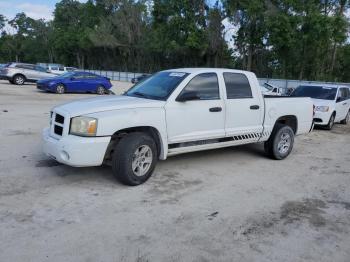  Salvage Dodge Dakota