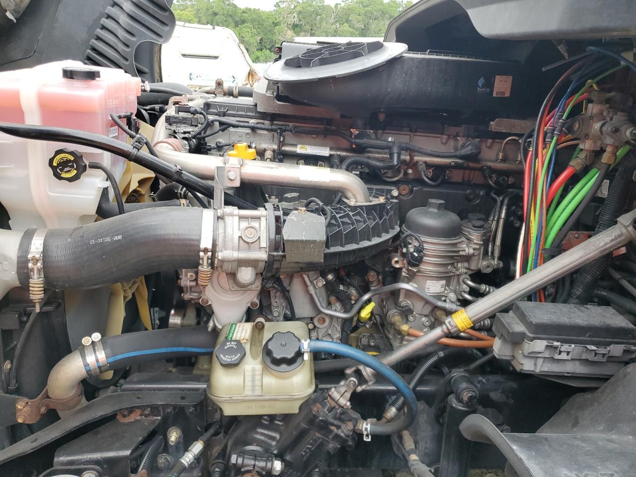 Frht Cascadia 1 Image 9