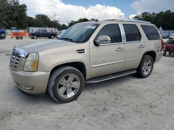  Salvage Cadillac Escalade