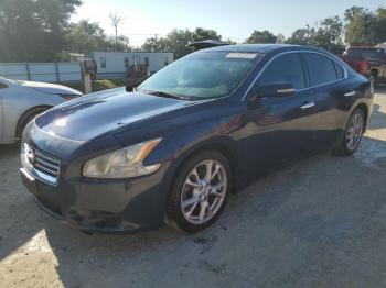  Salvage Nissan Maxima