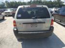 Ford Escape Xlt Image 8