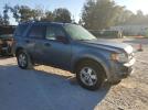 Ford Escape Xlt Image 4