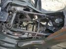 Hond Trx Fa Image 8