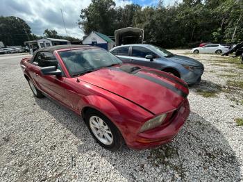  Salvage Ford Mustang