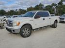 Ford F-150 Supercrew Image 1