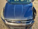 Ford Escape Se Image 13