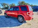 Ford Escape Xlt Image 4