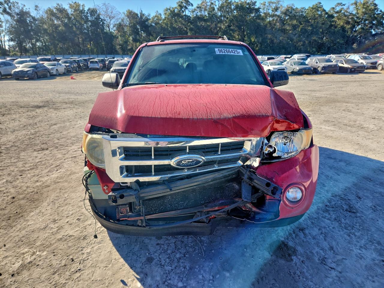 Ford Escape Xlt Image 6