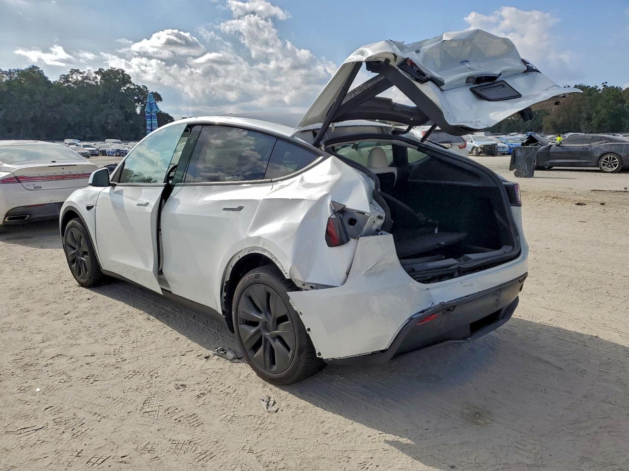 Tesla Model Y Image 2