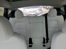 Tesla Model Y Image 12